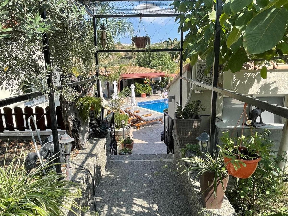 Sofros Valley Hills Chalet Άγιος Μάμας Εξωτερικό φωτογραφία